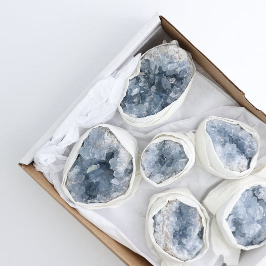Celestite Clusters Set of 6
