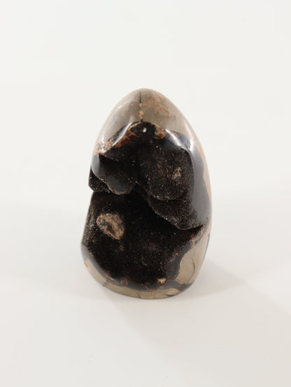 Septarian Cut Bases Set of 4 - Expert Wholesale and Supplier of Wholesale Crystals & Bulk Gemstones, []