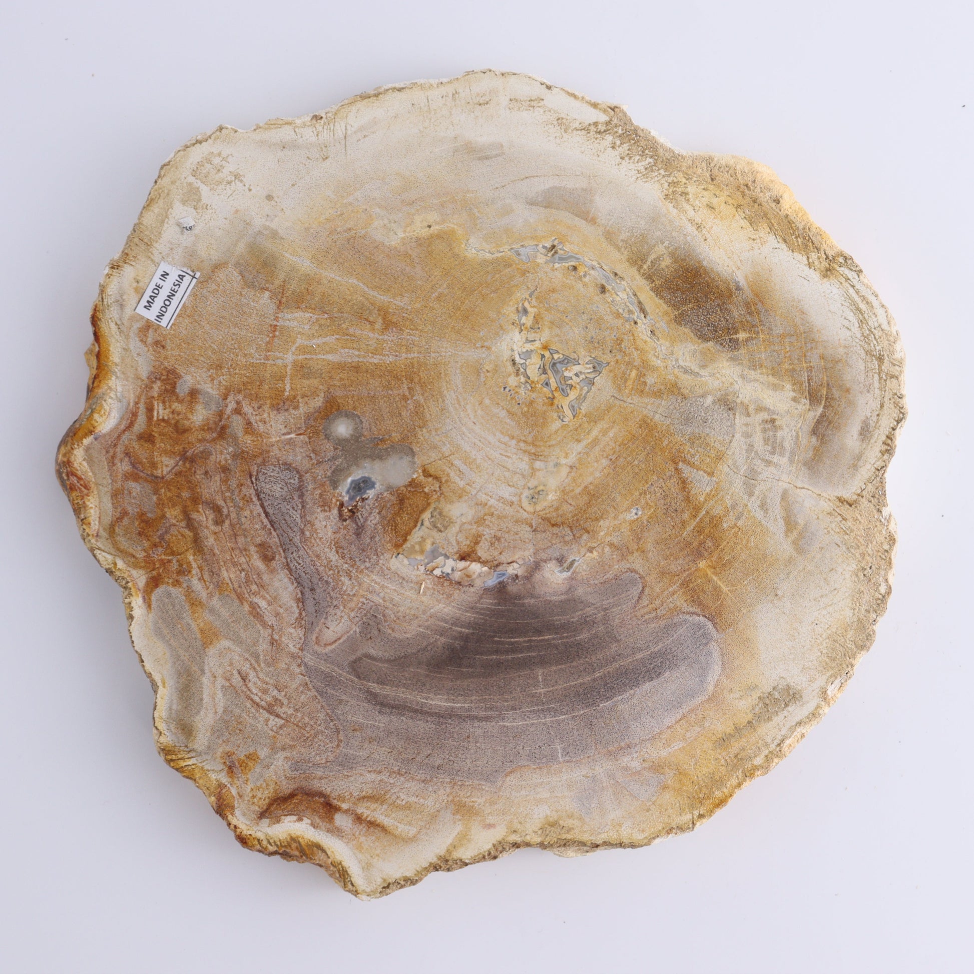 Petrified Wood Slices & Slabs Set of 3 - Expert Wholesale and Supplier of Wholesale Crystals & Bulk Gemstones, ["Freeforms","Indonesia","Petrified Wood","Slices and Slabs"]