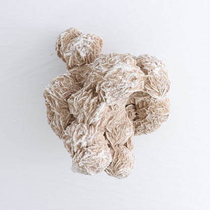 Desert Rose Set of 2