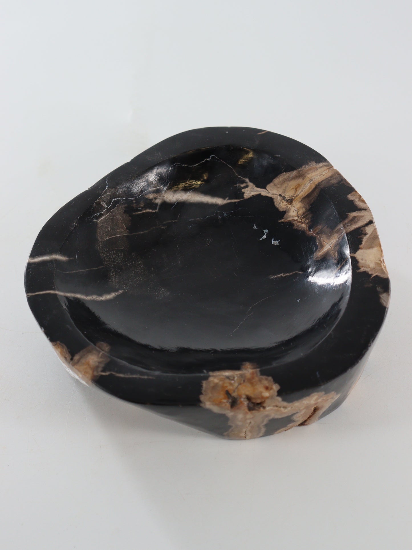 Petrified Wood Bowl