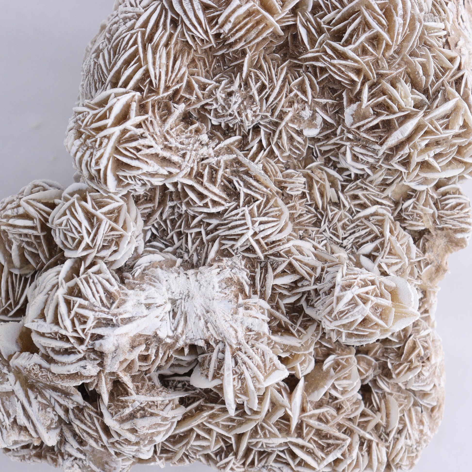 Desert Rose Cluster - Expert Wholesale and Supplier of Wholesale Crystals & Bulk Gemstones, ["Desert Rose","Freeforms"]