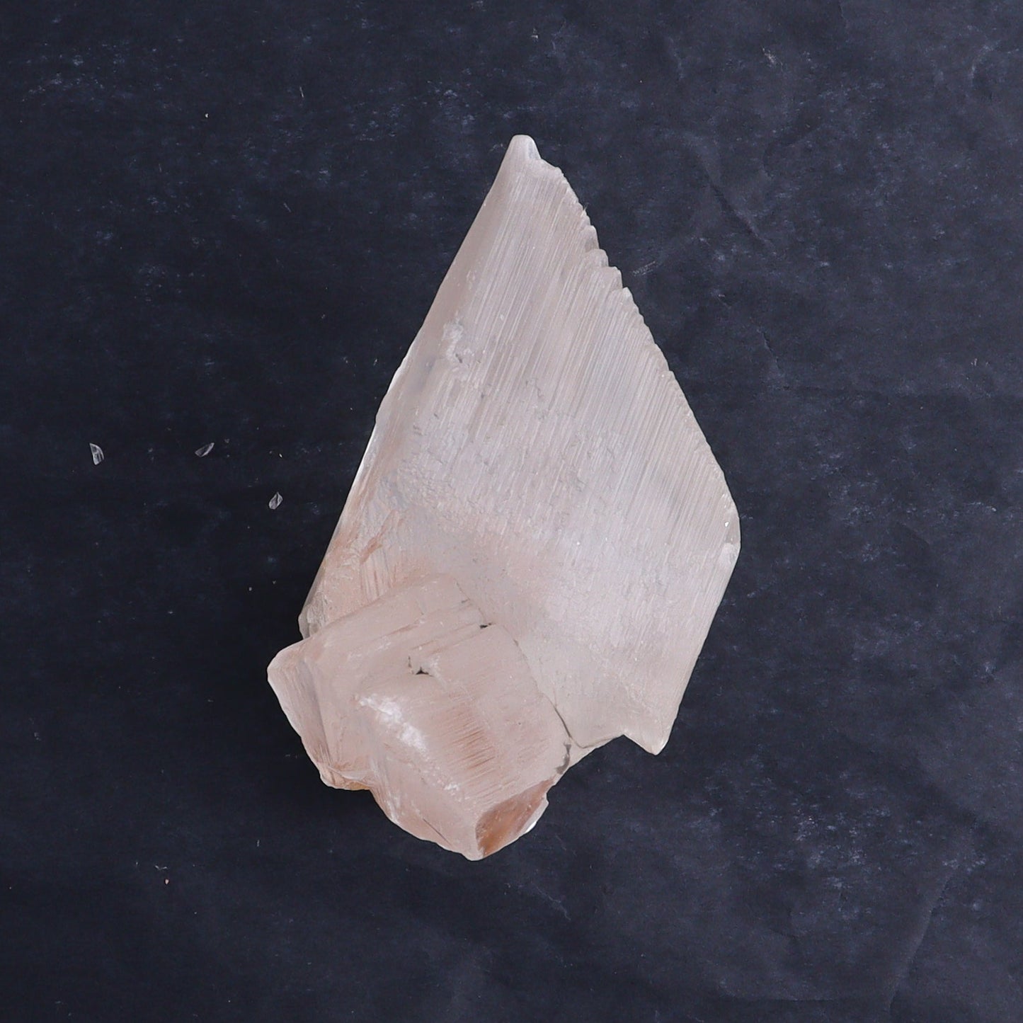 Naica Selenite Flat Set of 6