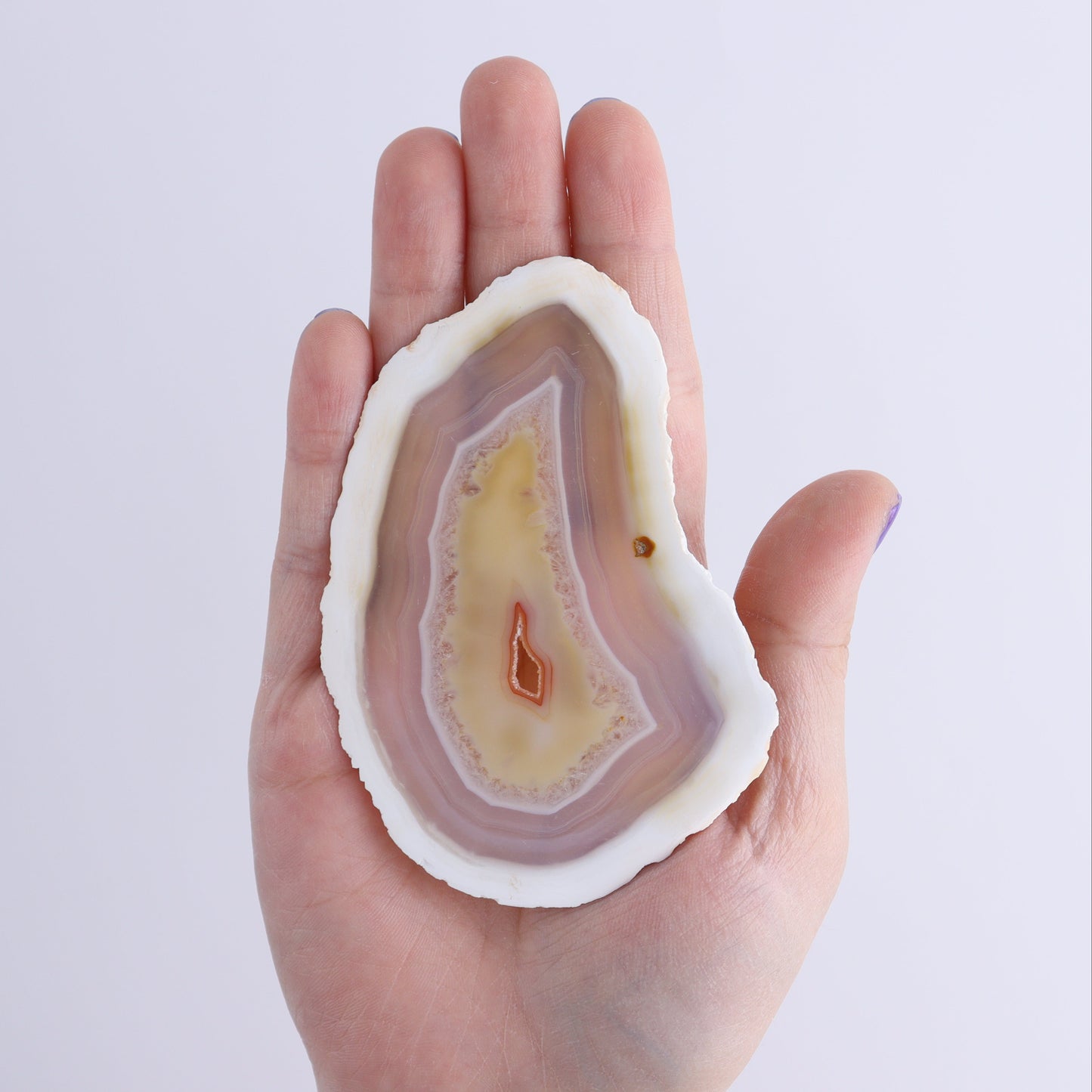 Iris Agate Slices Set of 6 - Expert Wholesale and Supplier of Wholesale Crystals & Bulk Gemstones, ["Agate","Iris Agate","Slices and Slabs"]