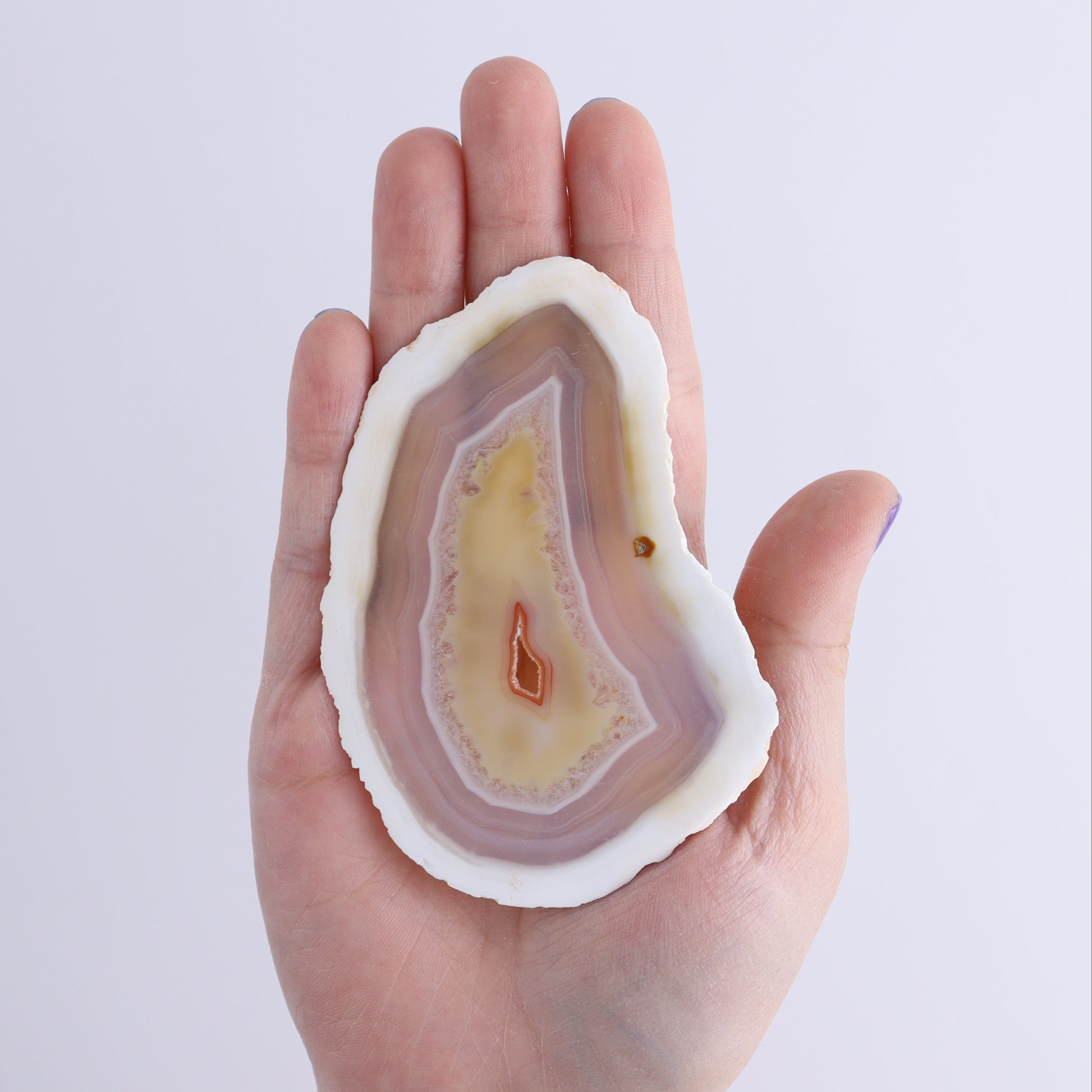 Iris Agate Slices Set of 6 - Expert Wholesale and Supplier of Wholesale Crystals & Bulk Gemstones, ["Agate","Iris Agate","Slices and Slabs"]