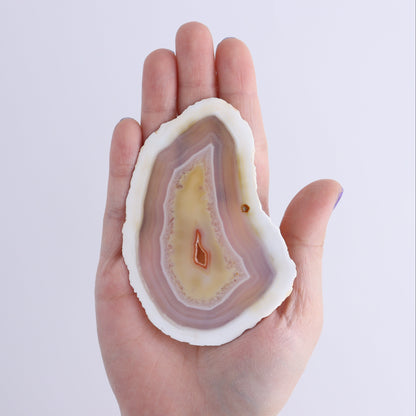 Iris Agate Slices Set of 6 - Expert Wholesale and Supplier of Wholesale Crystals & Bulk Gemstones, ["Agate","Iris Agate","Slices and Slabs"]