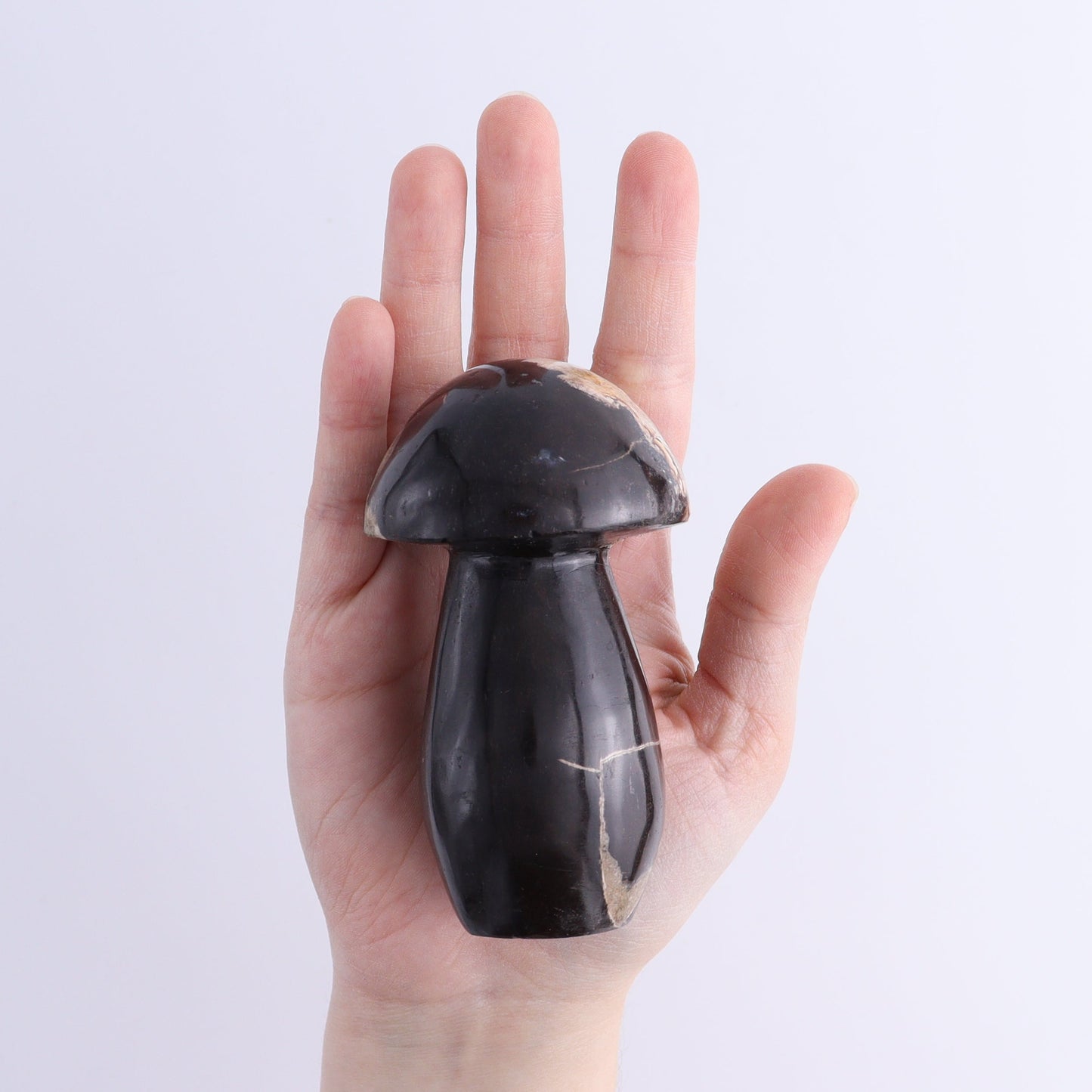 Petrified Wood Mushrooms Set of 4 - Expert Wholesale and Supplier of Wholesale Crystals & Bulk Gemstones, ["Indonesia","Mushrooms","Petrified Wood"]