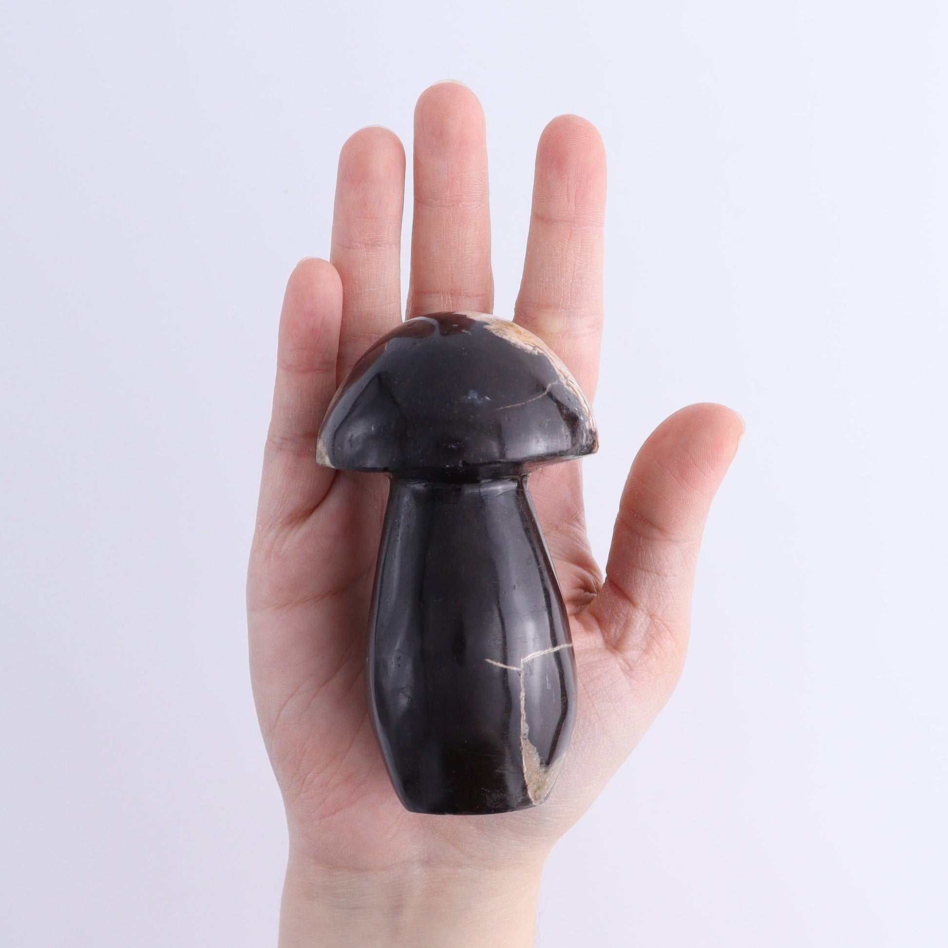 Petrified Wood Mushrooms Set of 4 - Expert Wholesale and Supplier of Wholesale Crystals & Bulk Gemstones, ["Indonesia","Mushrooms","Petrified Wood"]