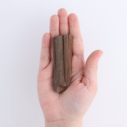 Permineralized Wood Flat of 24
