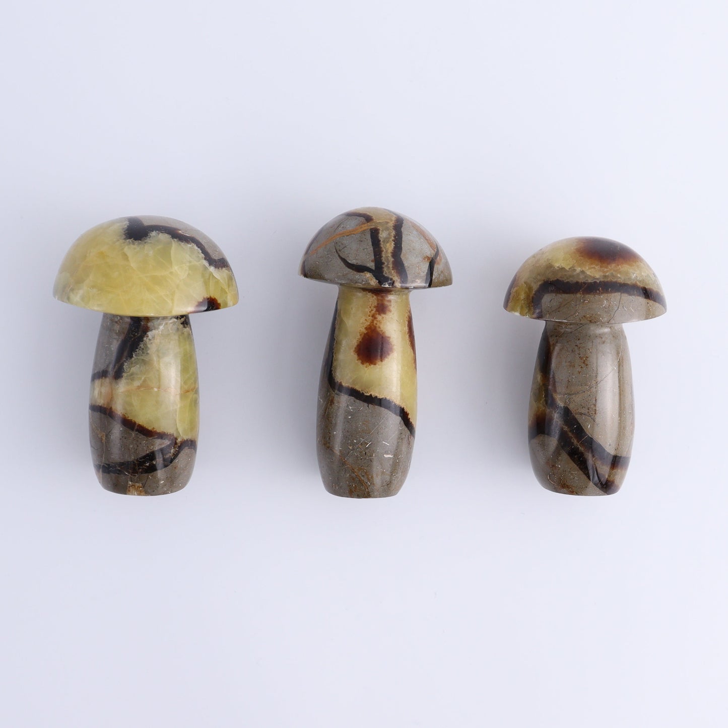 Septarian Mushrooms Set of 6 - Expert Wholesale and Supplier of Wholesale Crystals & Bulk Gemstones, ["Mushrooms","Septarian"]