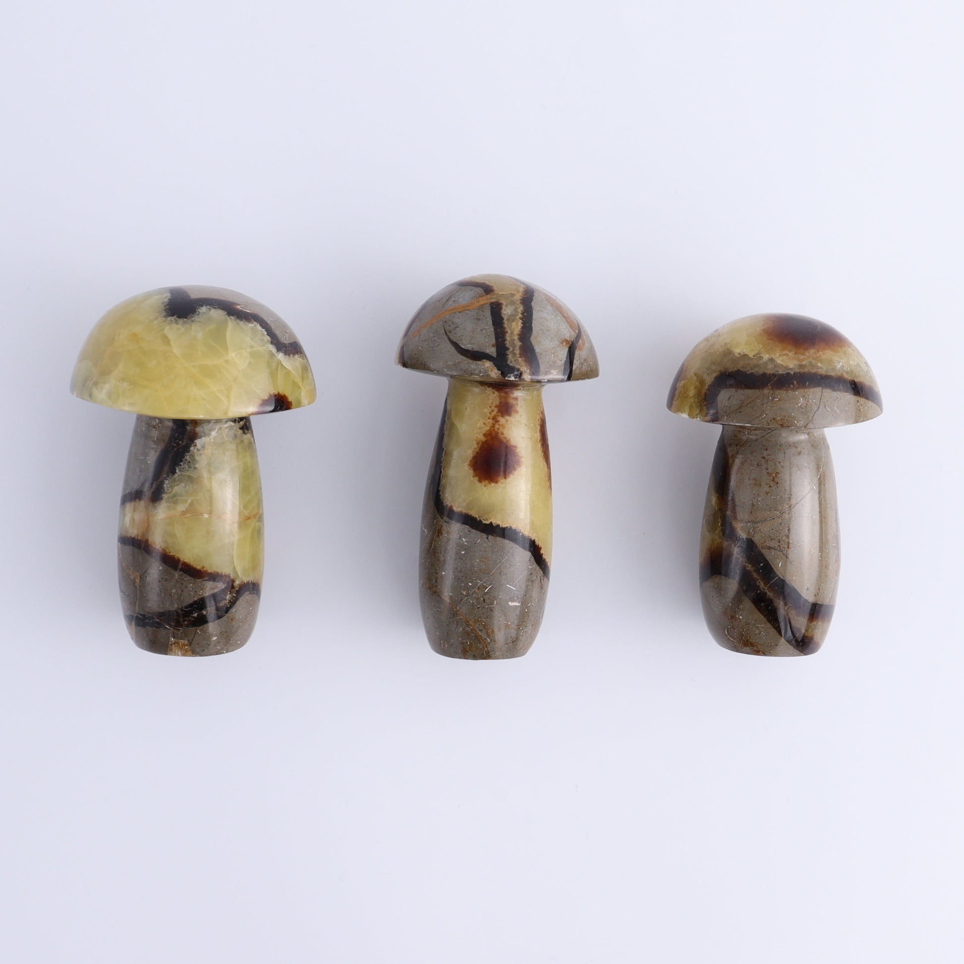 Septarian Mushrooms Set of 6 - Expert Wholesale and Supplier of Wholesale Crystals & Bulk Gemstones, ["Mushrooms","Septarian"]