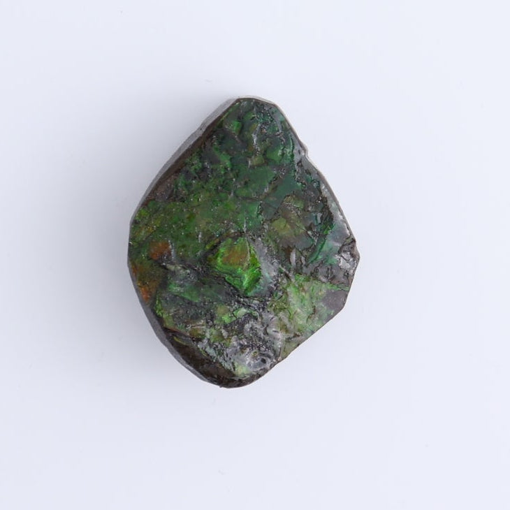 Ammolite Rough Set of 3