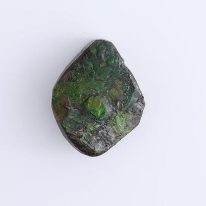 Ammolite Rough Set of 3