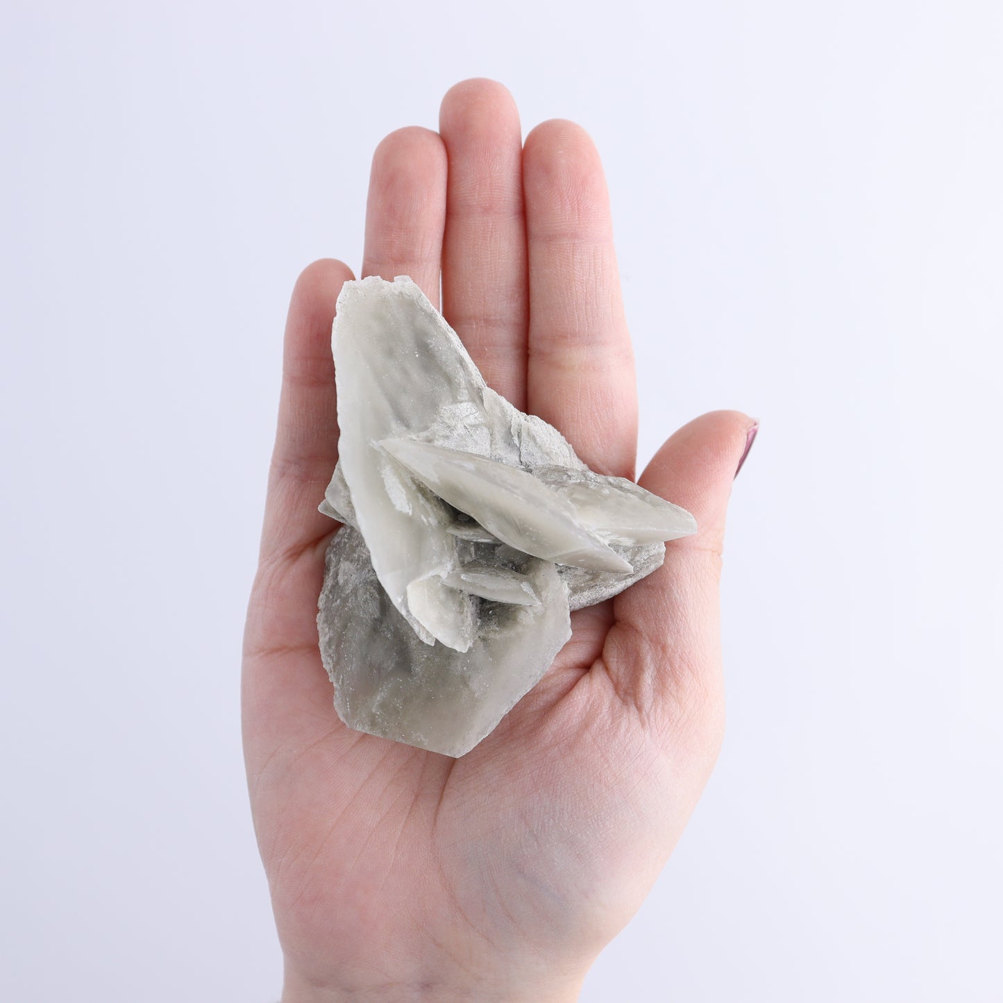 Selenite Clusters Set of 18 - Expert Wholesale and Supplier of Wholesale Crystals & Bulk Gemstones, ["Clusters","selenite"]