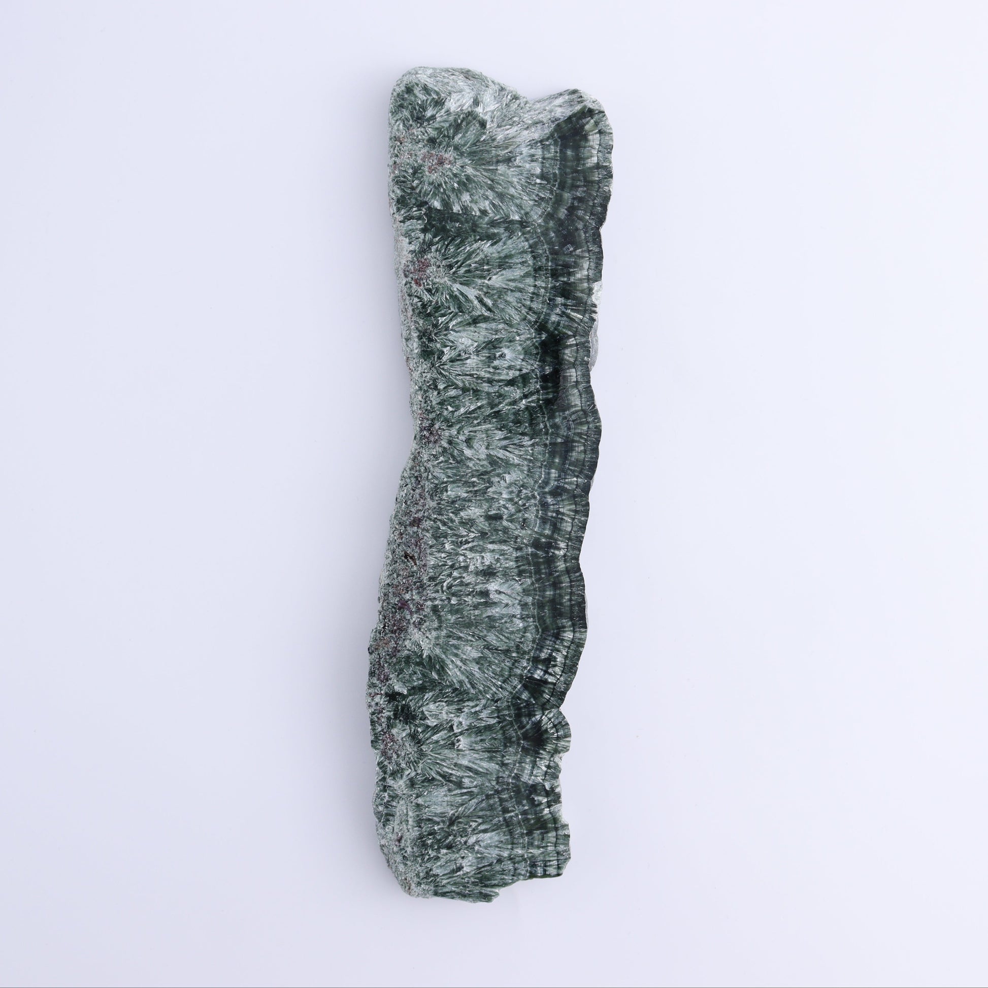 Seraphinite Slices Set of 3 - Expert Wholesale and Supplier of Wholesale Crystals & Bulk Gemstones, ["Russia","Seraphinite","Slices and Slabs"]
