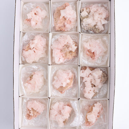 Searles Lake Halite Flat of 12 - Expert Wholesale and Supplier of Wholesale Crystals & Bulk Gemstones, ["close_30","Halite","Pink Halite","United States"]