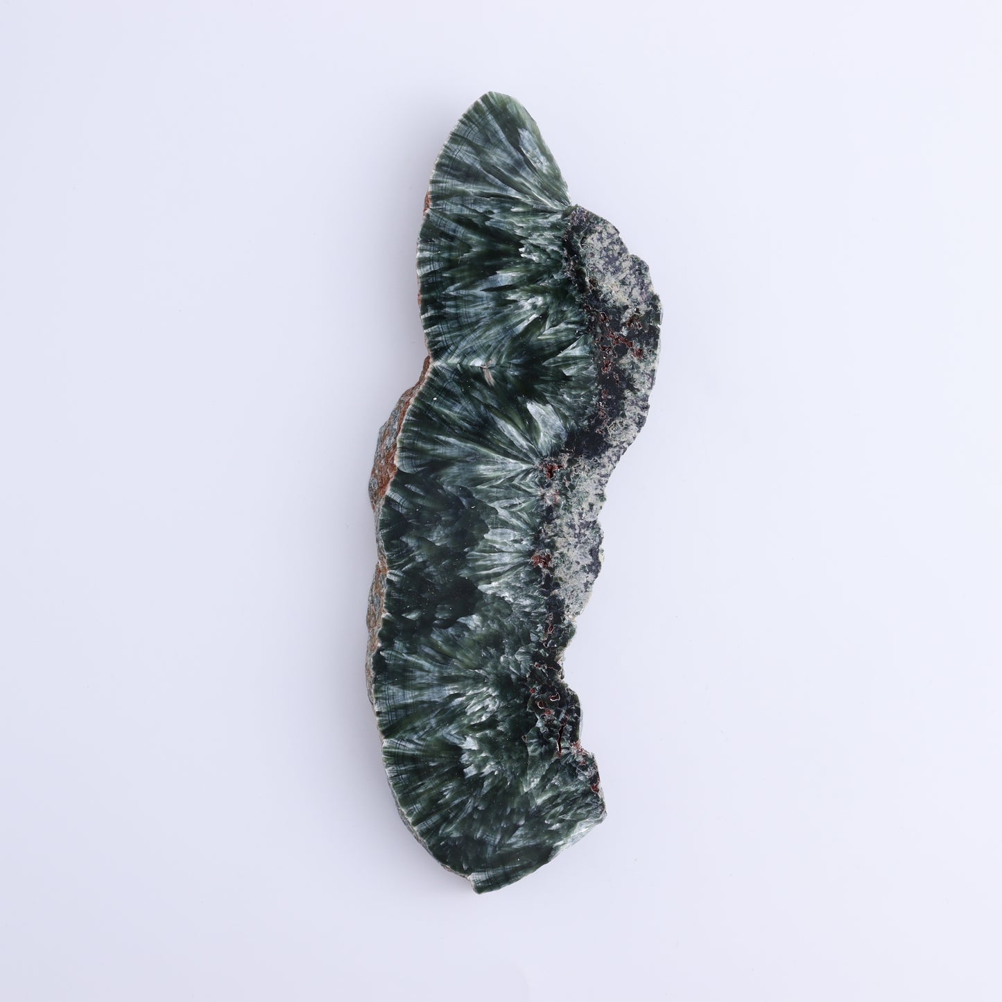 Seraphinite Slices Set of 3 - Expert Wholesale and Supplier of Wholesale Crystals & Bulk Gemstones, ["Russia","Seraphinite","Slices and Slabs"]