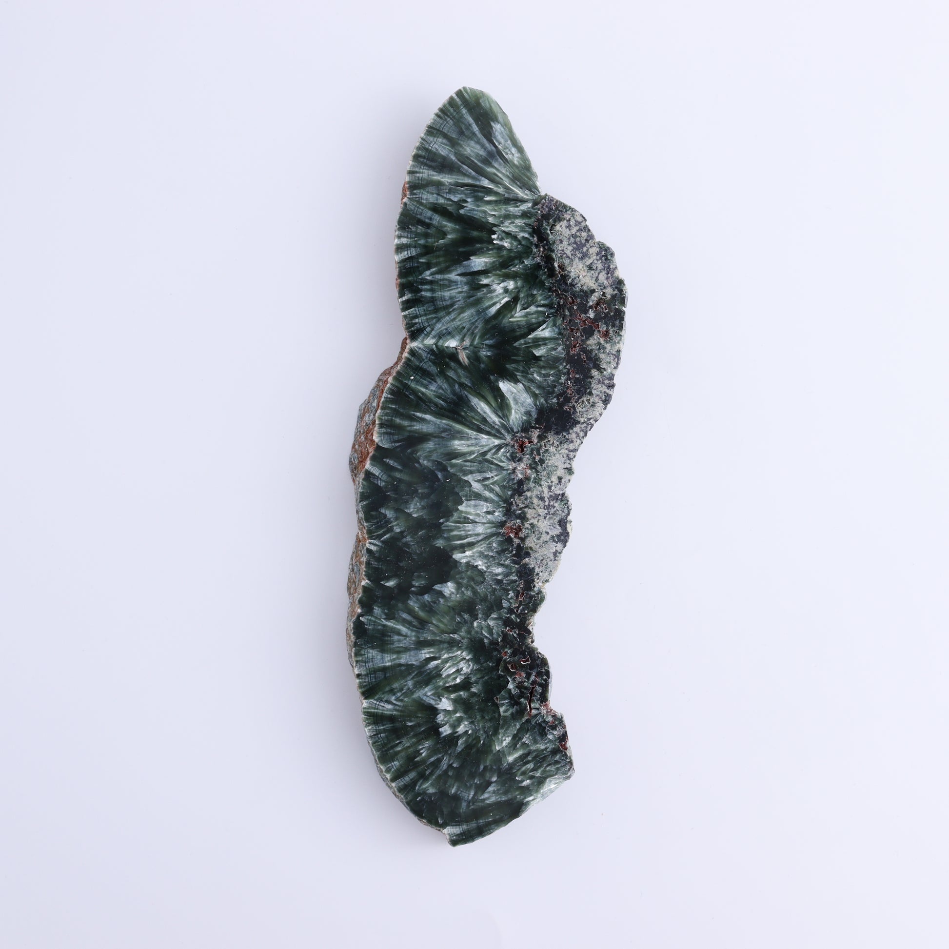 Seraphinite Slices Set of 3 - Expert Wholesale and Supplier of Wholesale Crystals & Bulk Gemstones, ["Russia","Seraphinite","Slices and Slabs"]