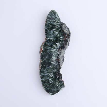 Seraphinite Slices Set of 3 - Expert Wholesale and Supplier of Wholesale Crystals & Bulk Gemstones, ["Russia","Seraphinite","Slices and Slabs"]
