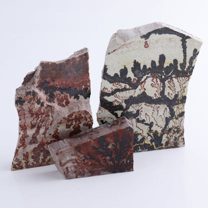 Dendrites Flat Set of 5 - Expert Wholesale and Supplier of Wholesale Crystals & Bulk Gemstones, ["Dendrite","Flats"]