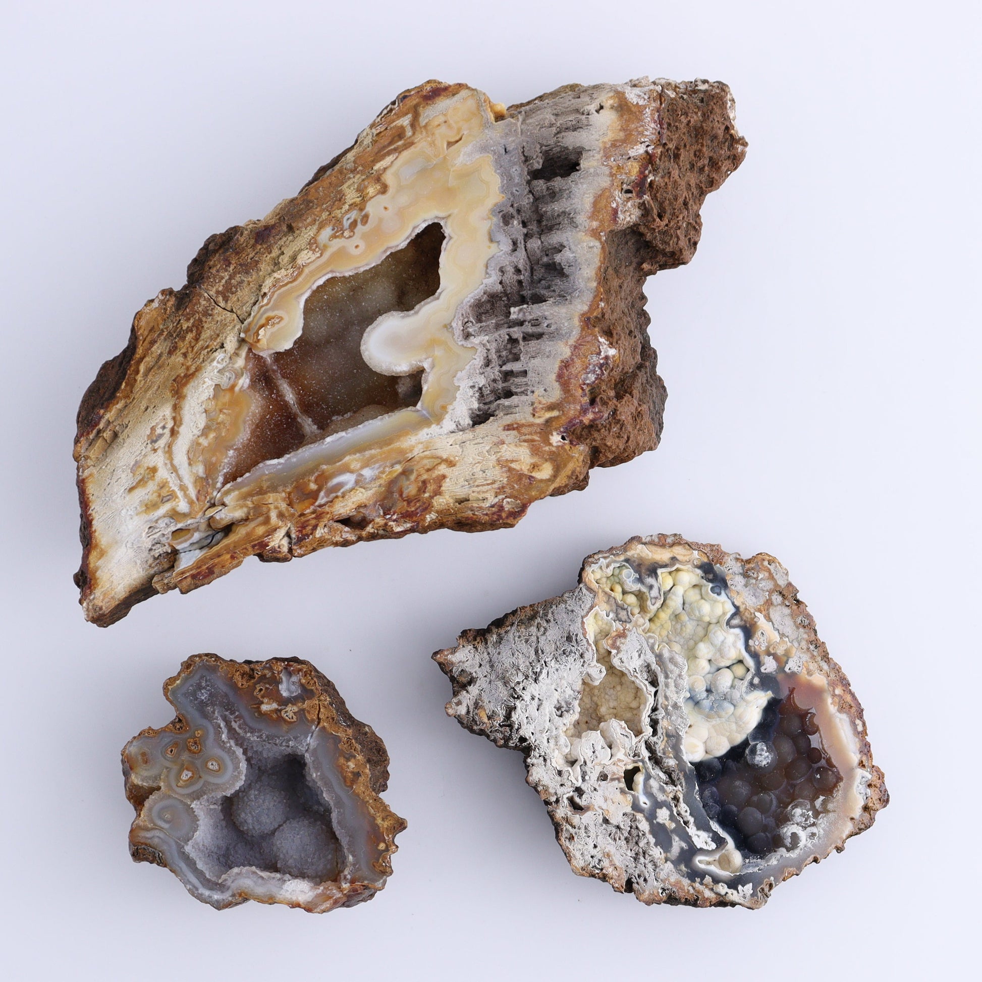 Agatized Coral Flat - Expert Wholesale and Supplier of Wholesale Crystals & Bulk Gemstones, ["Agate","Agatized Coral","Coral","United States"]