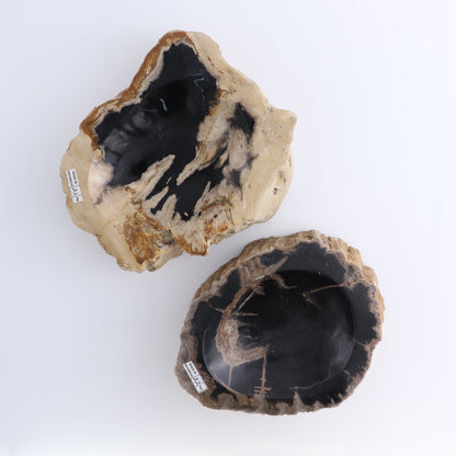 One Small Petrified Wood Brown & Black Rough Bowl