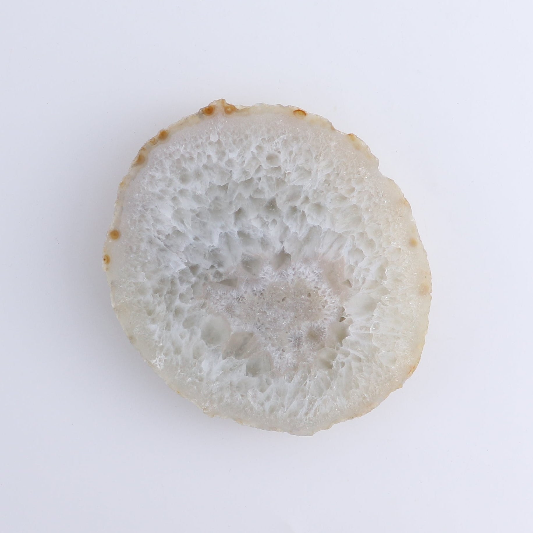 Agate Slices Set of 8 - Expert Wholesale and Supplier of Wholesale Crystals & Bulk Gemstones, ["Agate","Brazil","Slices and Slabs"]
