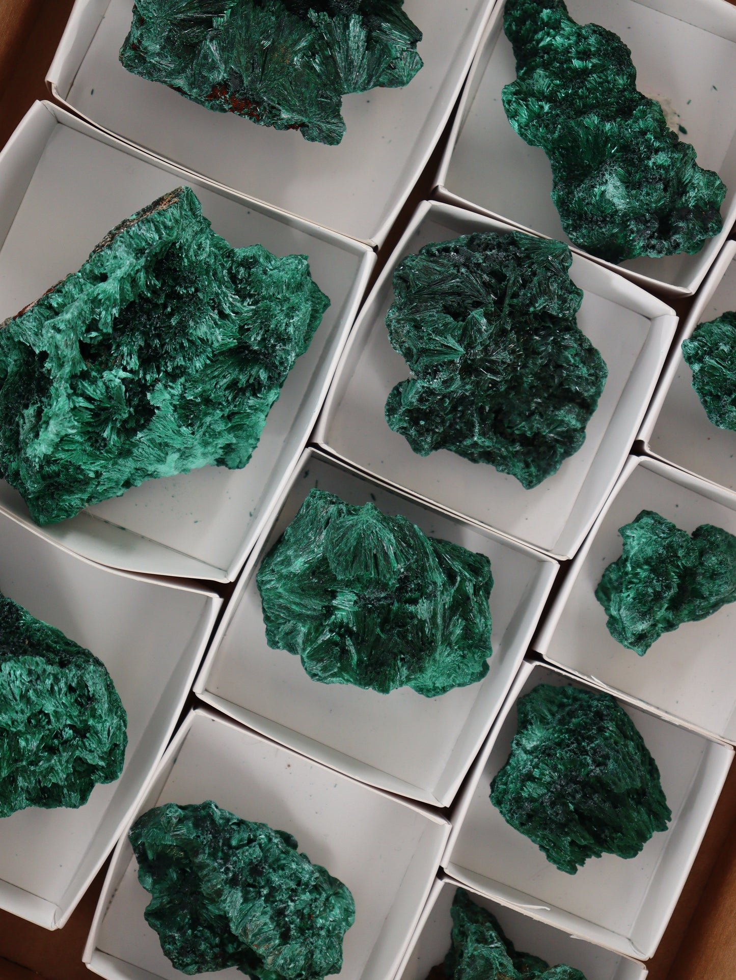 Malachite Flat - Expert Supplier of Wholesale Crystals & Bulk Gemstones