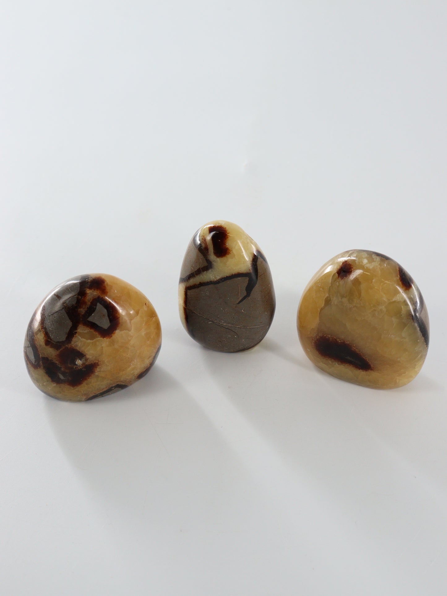 Septarian Freeforms Set of 12 - Expert Wholesale and Supplier of Wholesale Crystals & Bulk Gemstones, []