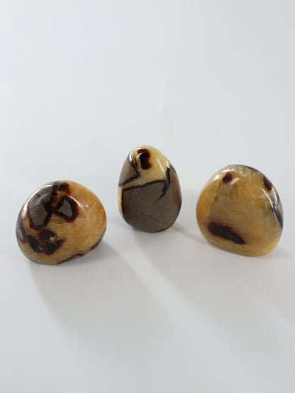Septarian Freeforms Set of 12 - Expert Wholesale and Supplier of Wholesale Crystals & Bulk Gemstones, []