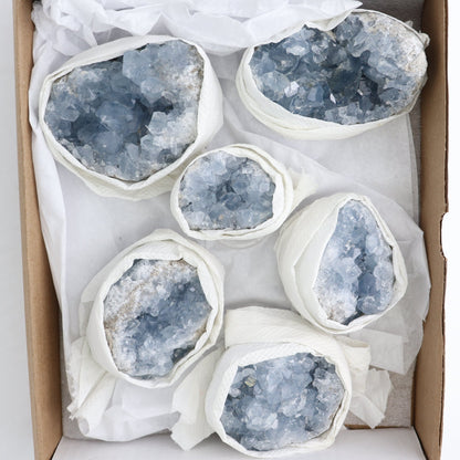 Celestite Clusters Set of 6