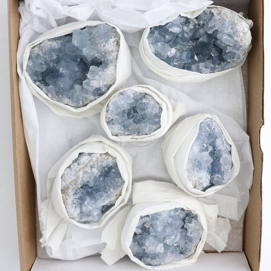 Celestite Clusters Set of 6