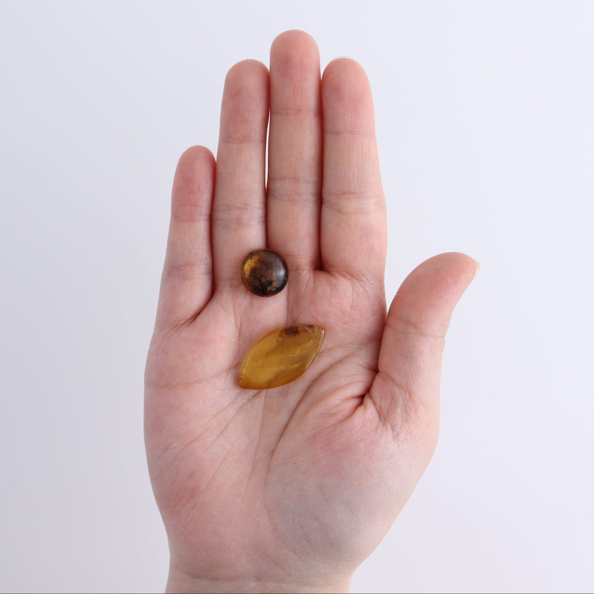 Chiapas Mexico Amber Cabs Set of 23