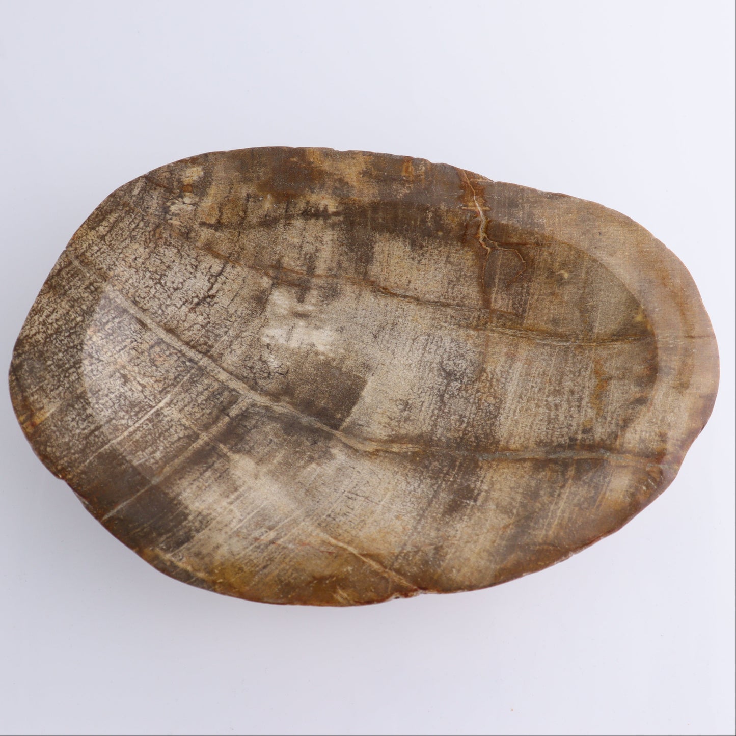 Bowl Petrified Wood - Expert Wholesale and Supplier of Wholesale Crystals & Bulk Gemstones, ["Bowls","Indonesia","Petrified Wood"]