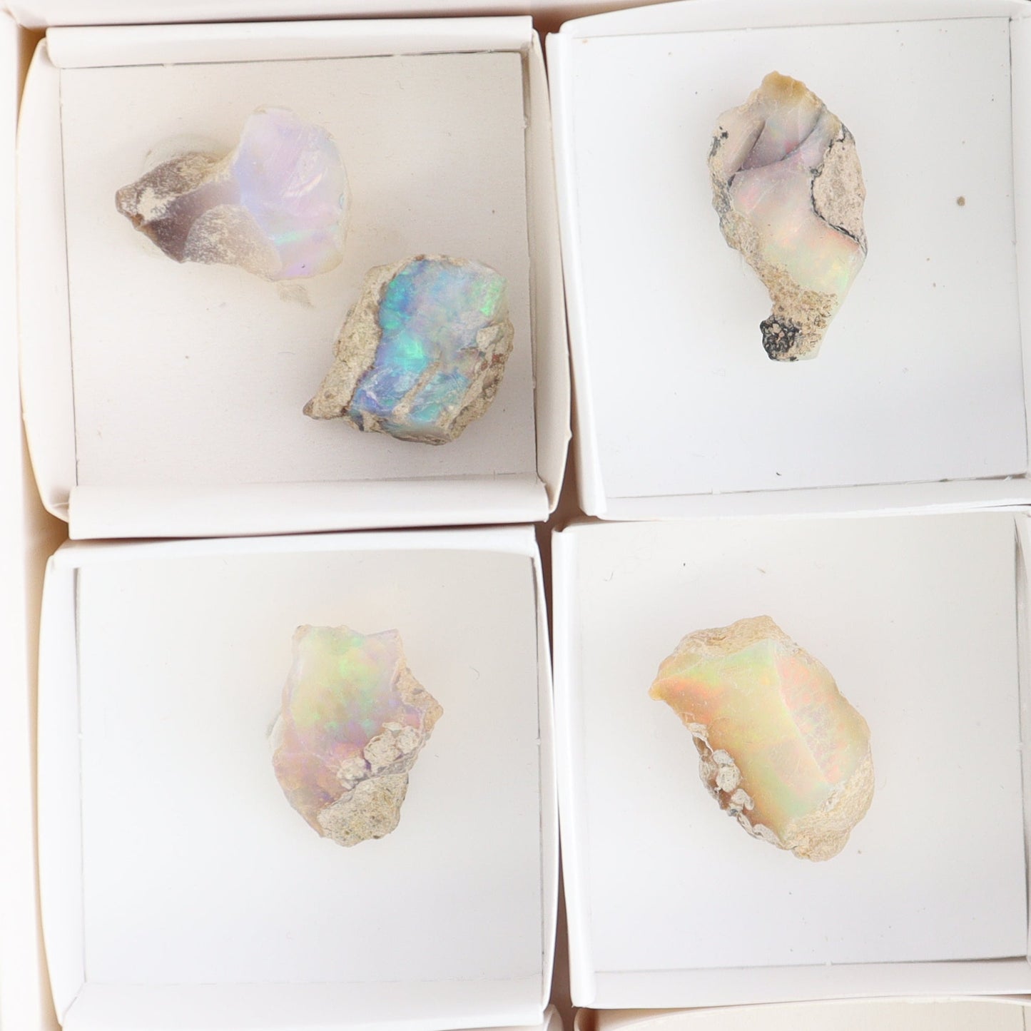 Ethiopian Opal Set of 10 - Expert Wholesale and Supplier of Wholesale Crystals & Bulk Gemstones, ["Ethiopia","ethiopian opal","Opal"]