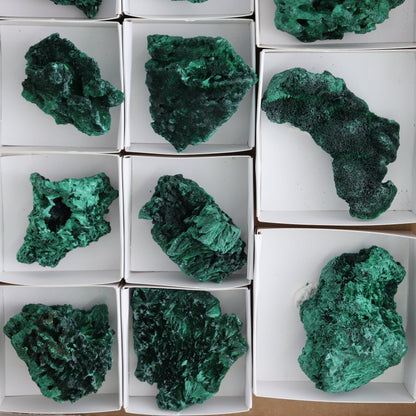 Malachite Freeforms Set of 9 - wholesale crystals