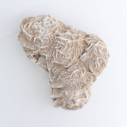 Desert Rose Set of 2