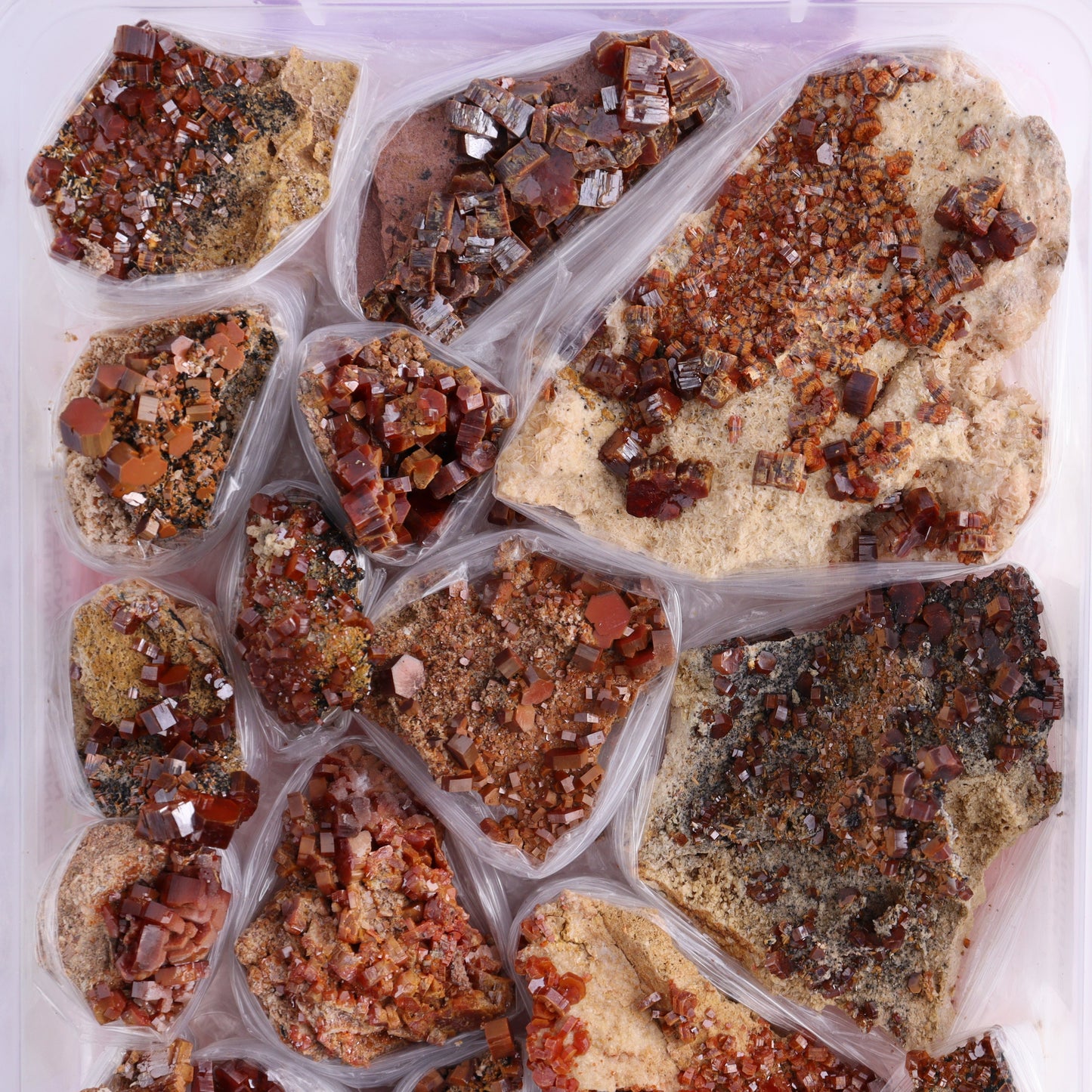 Vanadinite on Barite Flat from Morocco - Expert Wholesale and Supplier of Wholesale Crystals & Bulk Gemstones, ["Barite","Flats","Morocco","Vanadinite","Vanadinite Barite"]