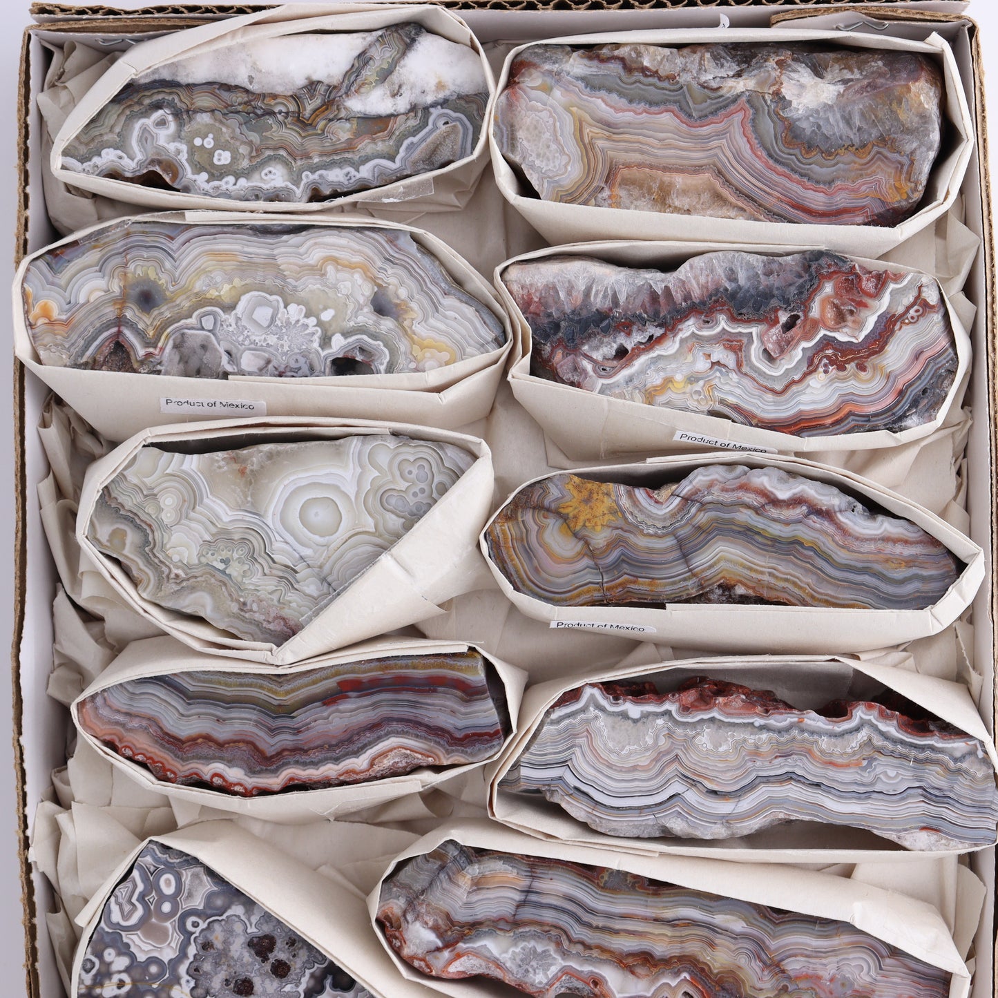 Crazy Lace Agate Flat of 12 - Expert Wholesale and Supplier of Wholesale Crystals & Bulk Gemstones, ["Crazy Lace Agate","Mexico"]