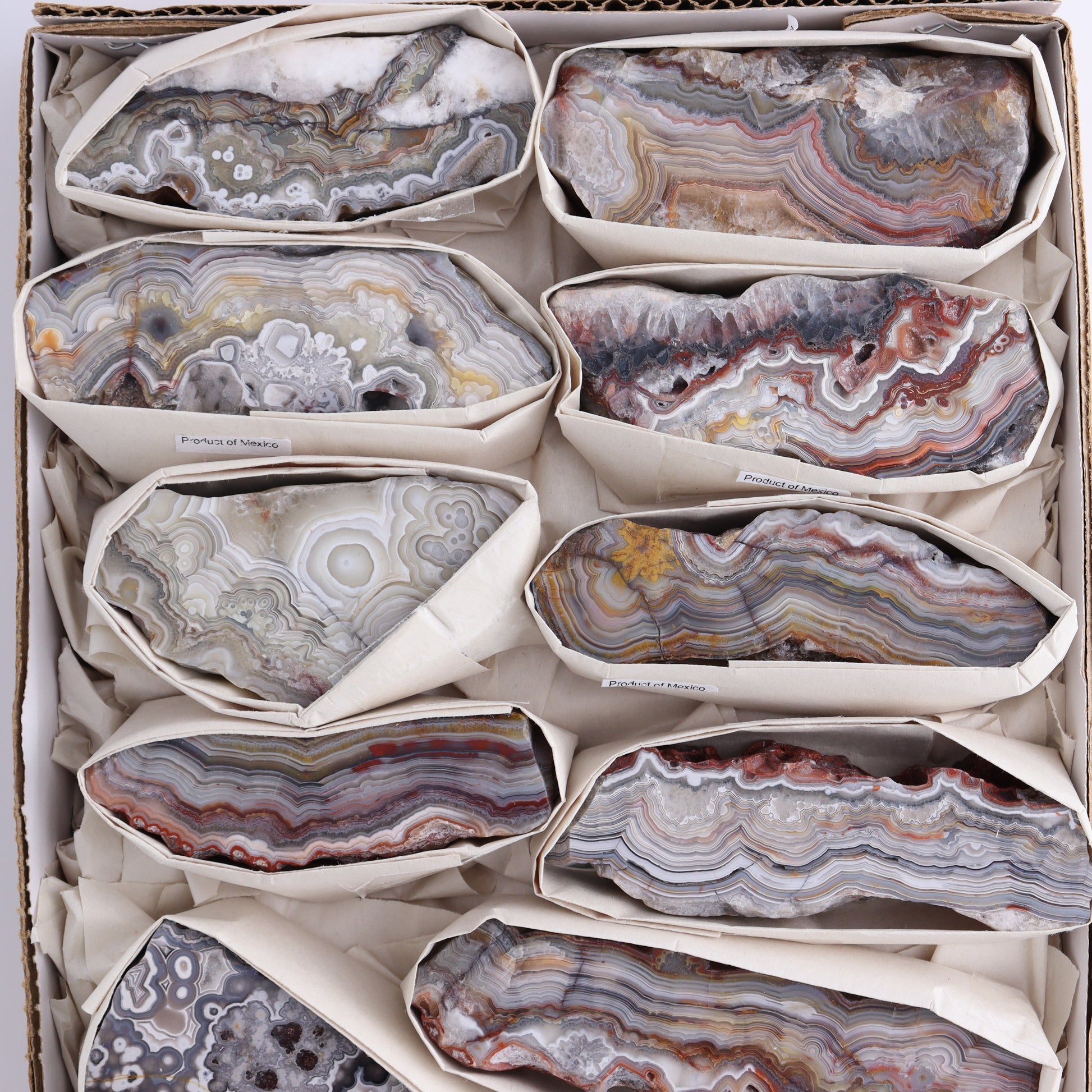 Crazy Lace Agate Flat of 12 - Expert Wholesale and Supplier of Wholesale Crystals & Bulk Gemstones, ["Crazy Lace Agate","Mexico"]