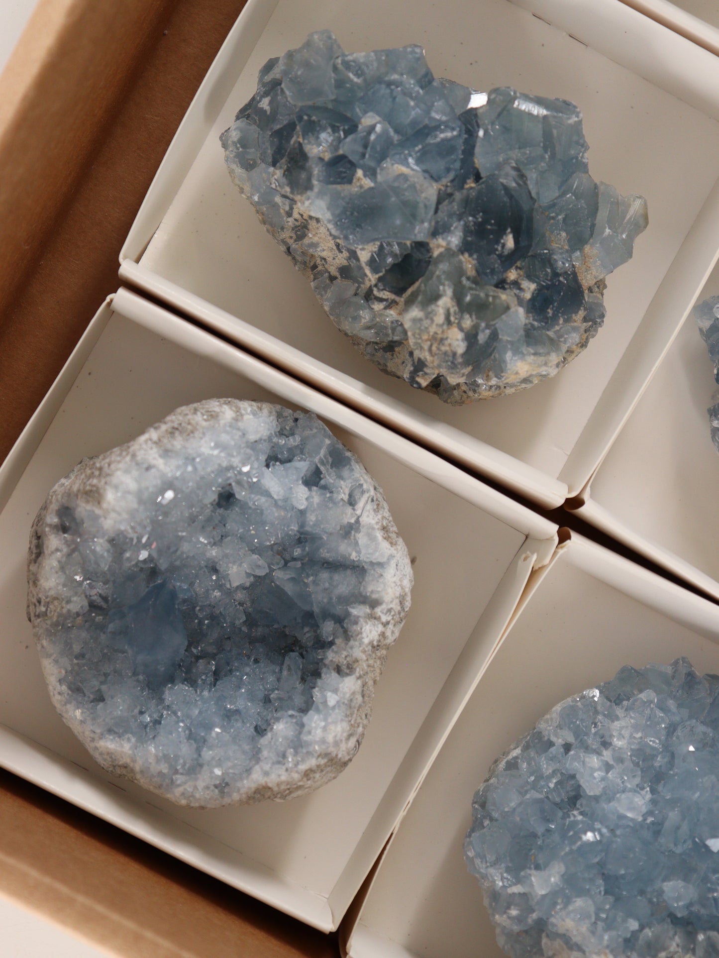 Celestite Clusters Set of 6 - Expert Wholesale and Supplier of Wholesale Crystals & Bulk Gemstones, []