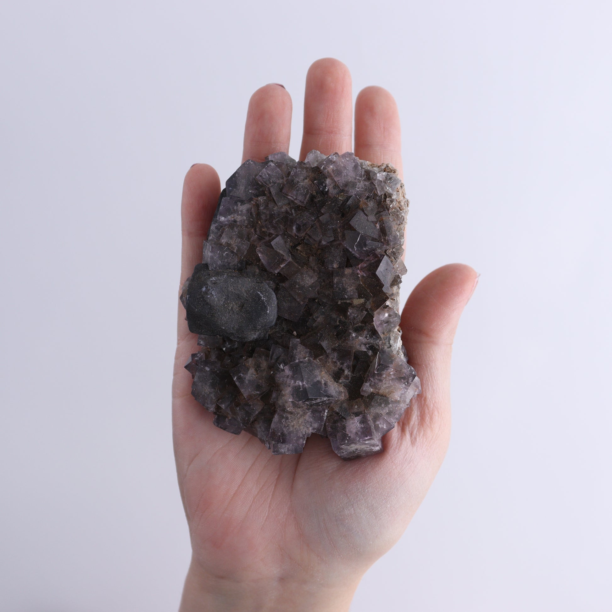 Fluorite Purple Rain Pocket Set of 7 - Expert Wholesale and Supplier of Wholesale Crystals & Bulk Gemstones, ["close_50","England","Fluorite","Purple Rain Pocket","Rough"]