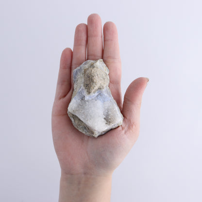 Blue Lace Agate Freeforms Set of 12