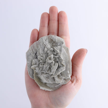 Selenite Clusters Set of 12