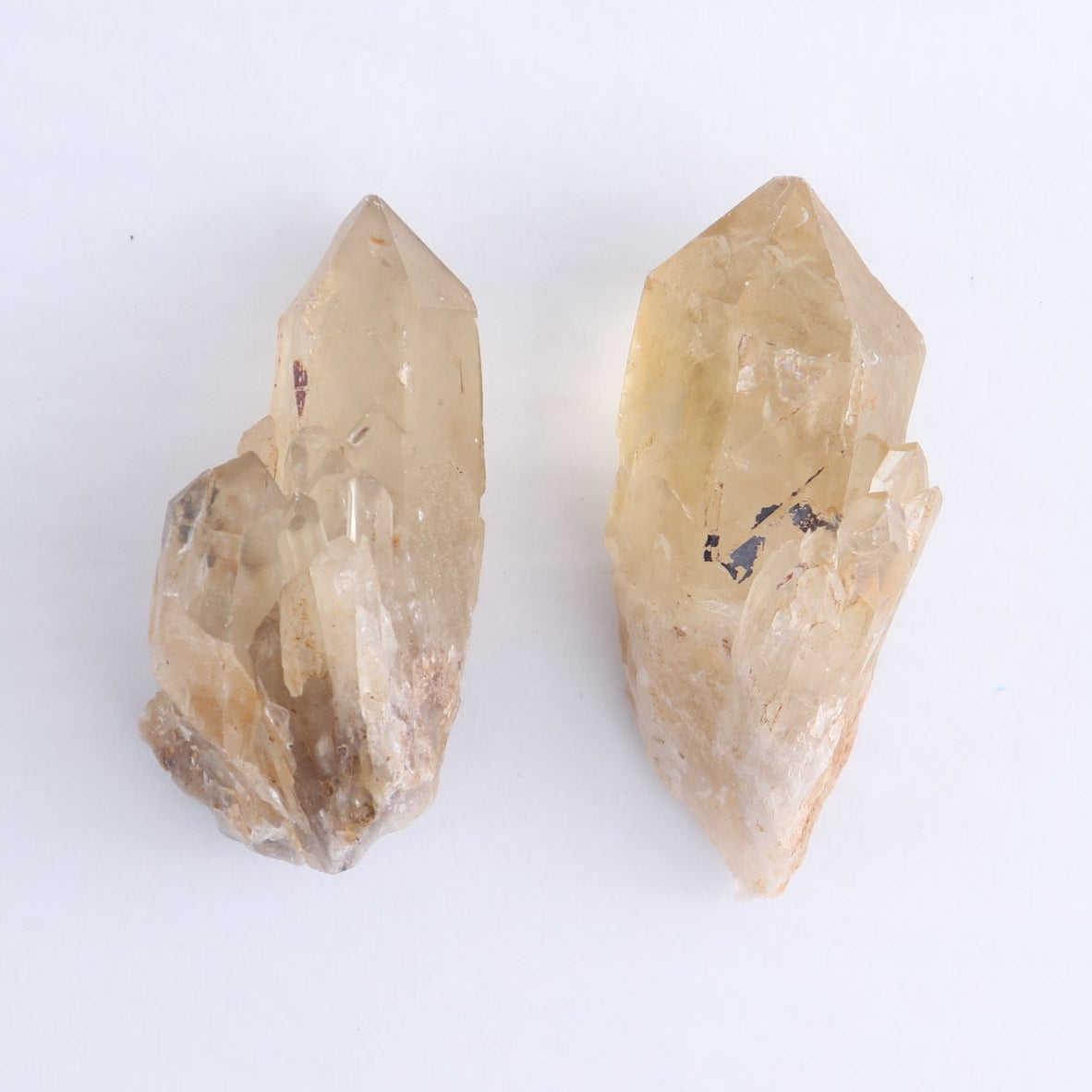 Congo Citrine Set of 12