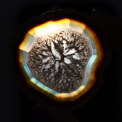 Iris Agate Slices Set of 6 - Expert Wholesale and Supplier of Wholesale Crystals & Bulk Gemstones, ["Agate","Iris Agate","Slices and Slabs"]