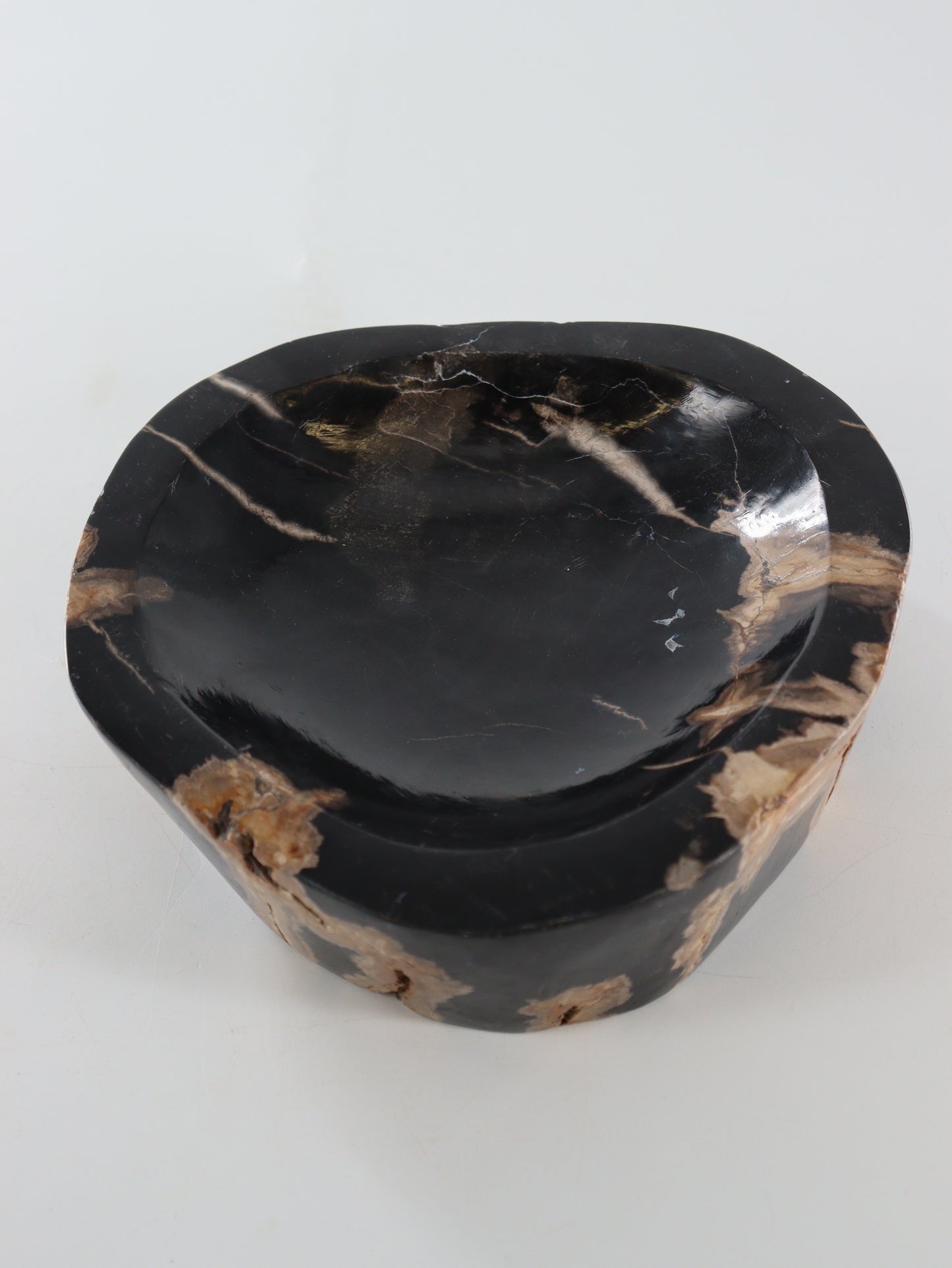 Petrified Wood Bowl