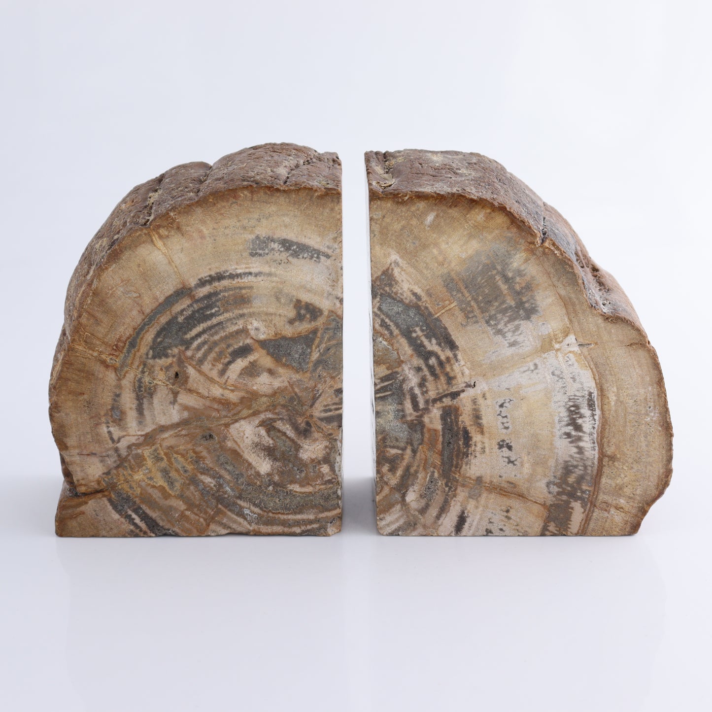 Bookends Petrified Wood - Expert Wholesale and Supplier of Wholesale Crystals & Bulk Gemstones, ["Bookends","Indonesia","Petrified Wood"]