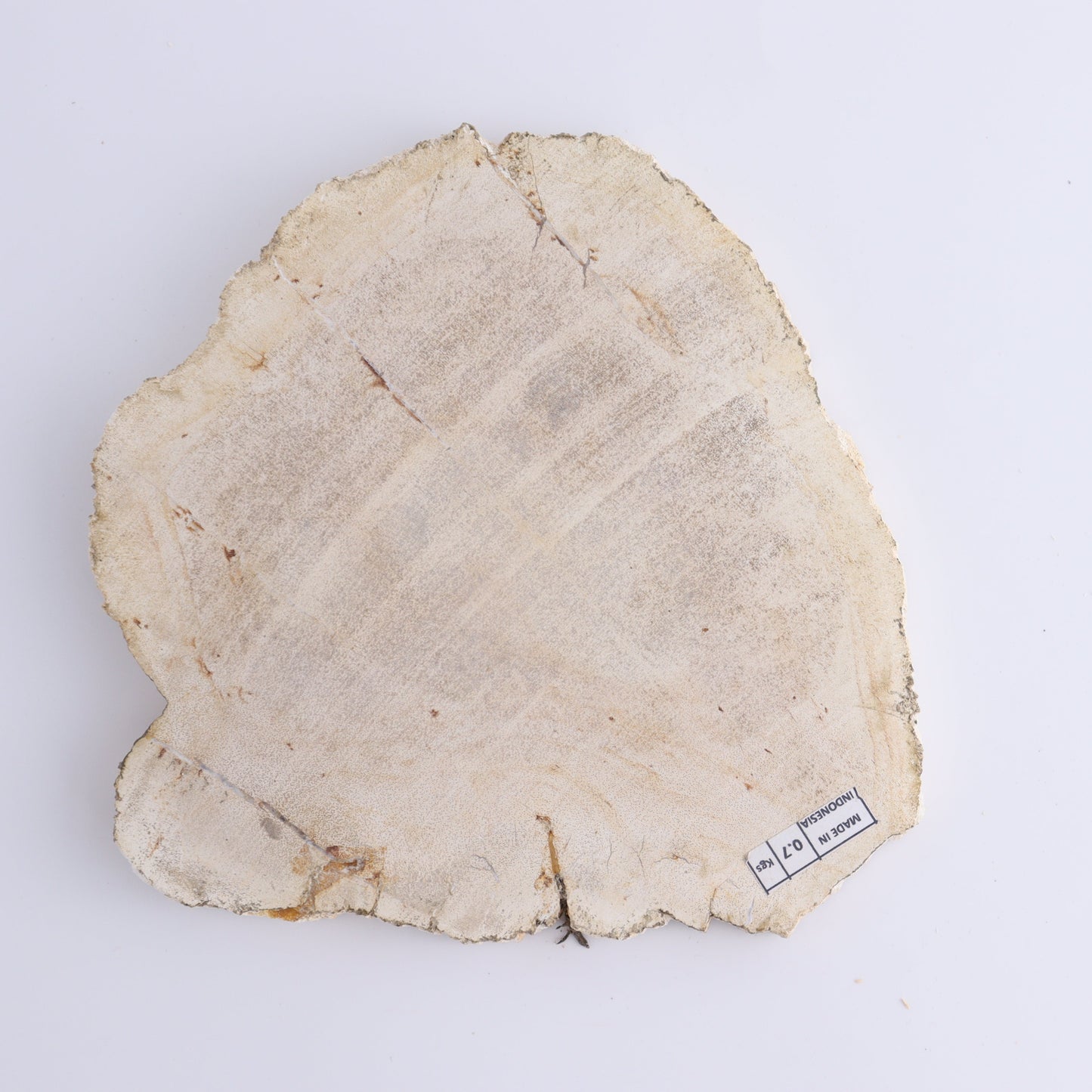 Petrified Wood Slices & Slabs Set of 3 - Expert Wholesale and Supplier of Wholesale Crystals & Bulk Gemstones, ["Freeforms","Indonesia","Petrified Wood","Slices and Slabs"]