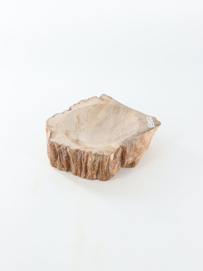 Petrified Wood Bowl - Expert Wholesale and Supplier of Wholesale Crystals & Bulk Gemstones, []